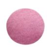 Picture of SIASPEED 1950 Plain 150mm P60 Velcro Disc